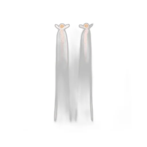 Hair Clips
