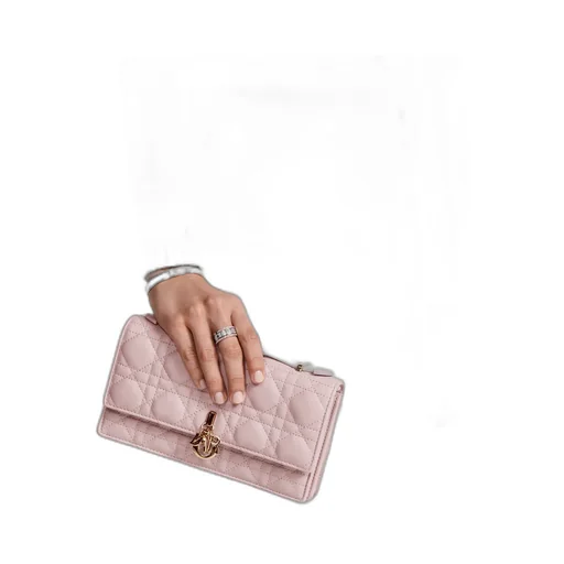 Lady Dior My Abcdior Bag