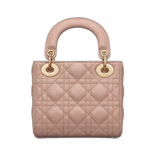 Lady Dior My Abcdior Bag