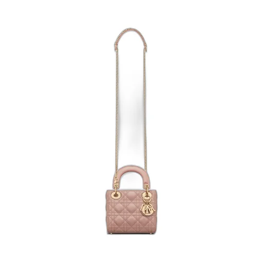 Lady Dior My Abcdior Bag