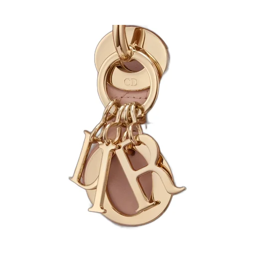 Lady Dior My Abcdior Bag