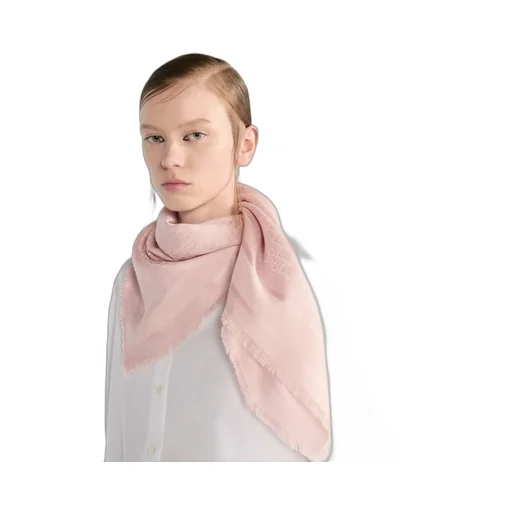 Dior Oblique Blanket