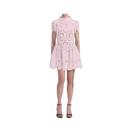 Embroidered Lace Dress