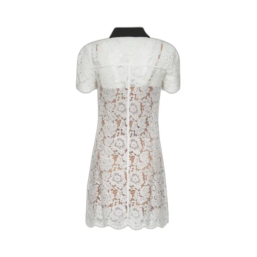Lace Mini Dress