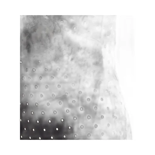 Polka Dot Slip Dress