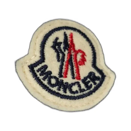 Moncler Enfant Taidu Hooded Down Jacket
