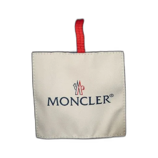 Moncler Enfant Molan Hooded Down Jacket