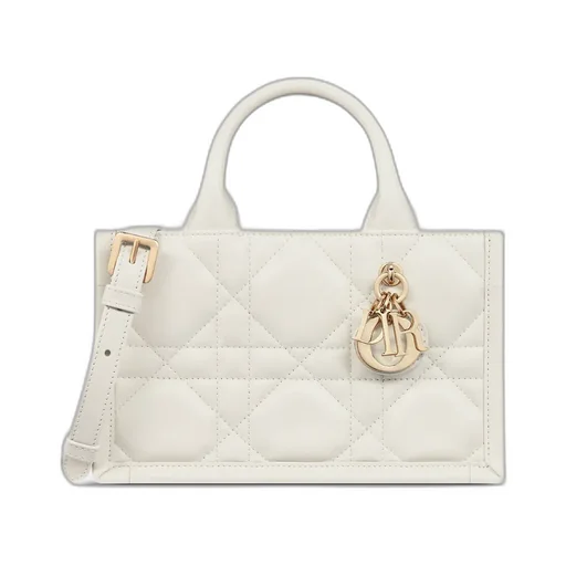 Mini Dior Book Tote