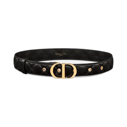 30 Montaigne Belt