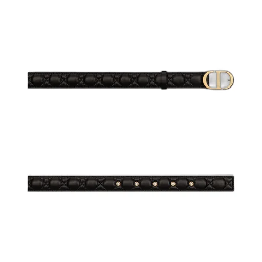 30 Montaigne Belt