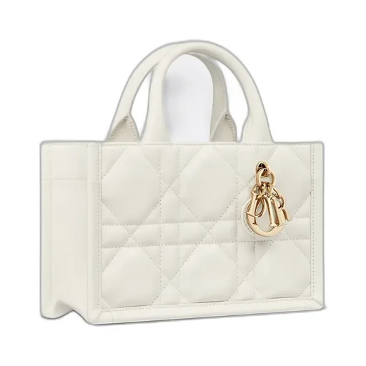 Mini Dior Book Tote