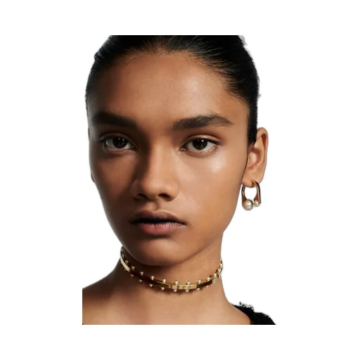 Medium Dior Tribales New Look Earrings