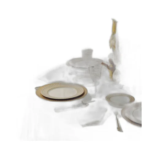Dinner Plate