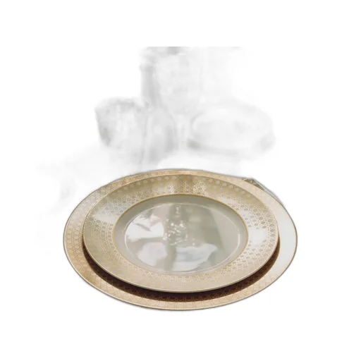 Dinner Plate