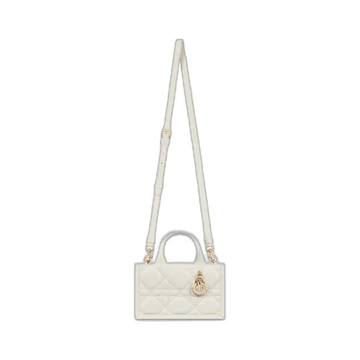 Mini Dior Book Tote