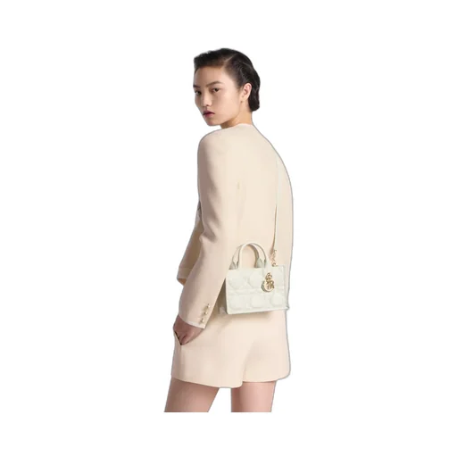Mini Dior Book Tote