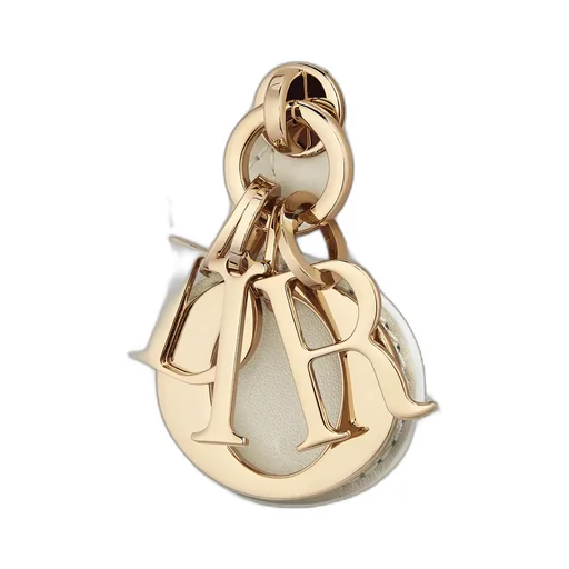 Mini Dior Book Tote