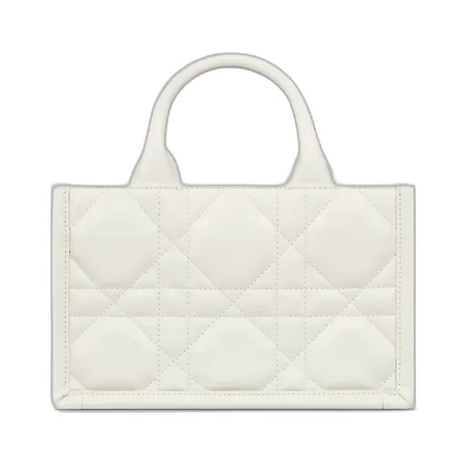 Mini Dior Book Tote
