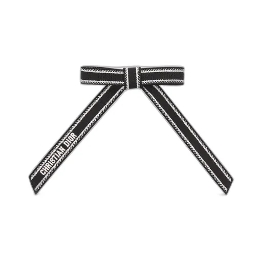 Christian Dior Embroidered Dior Twist Bow