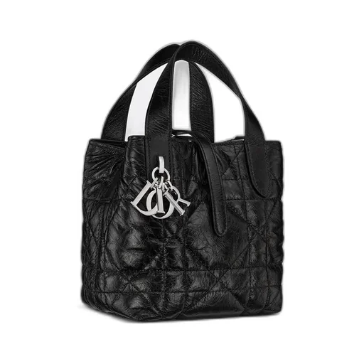 Dior Toujours Vertical Nano Tote Bag