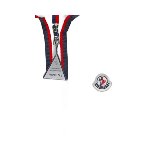 Moncler Enfant Dorcas Hooded Down Gilet