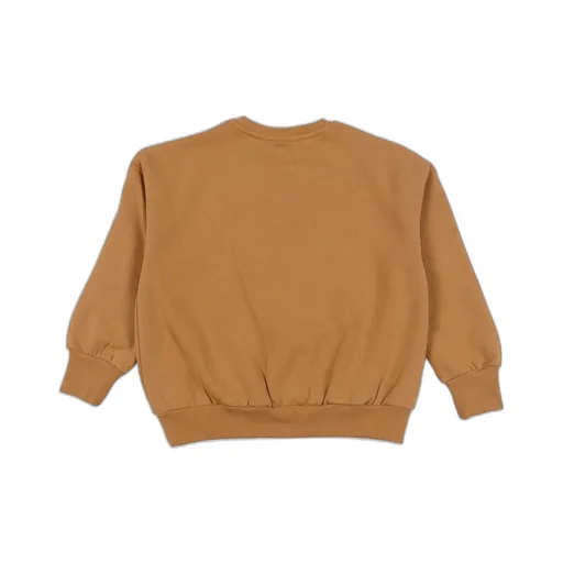Mini Rodini Dino Embroidered Crewneck Sweatshirt