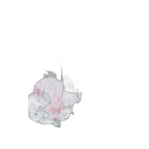 Mama Luma Organza Ruffled Rose Dress
