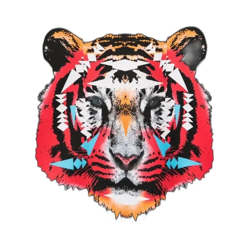 Marcelo Burlon County Of Milan Kids Tiger Crewneck