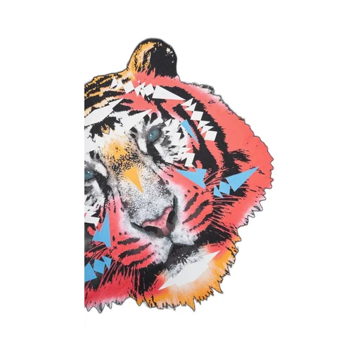 Marcelo Burlon County Of Milan Kids Tiger Crewneck