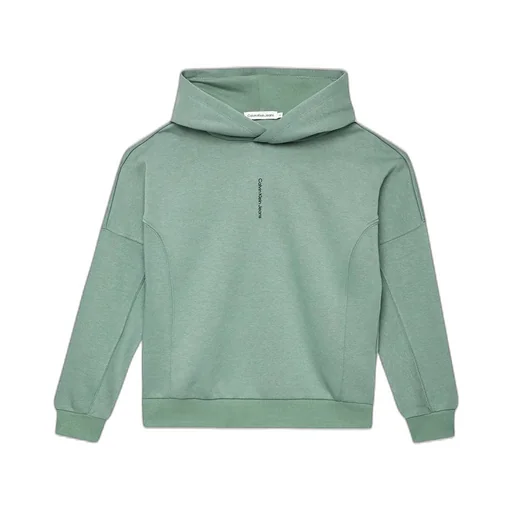 Calvin Klein Kids Logo Rubberised Hoodie