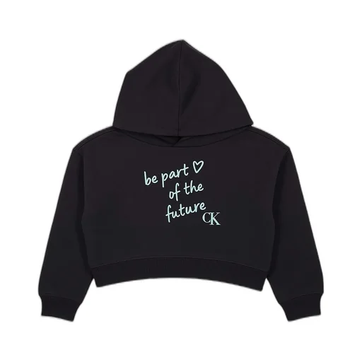 Calvin Klein Kids Boxy Graphic Logo Hoodie