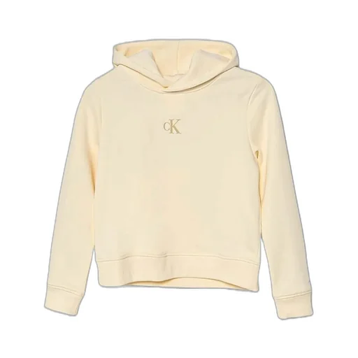 Calvin Klein Kids Logo Printed Hoodie