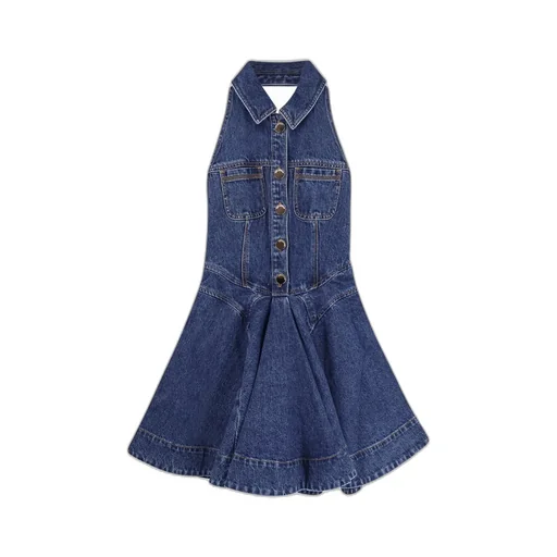 Self-Portrait Denim Sleeveless Flared Mini Dress