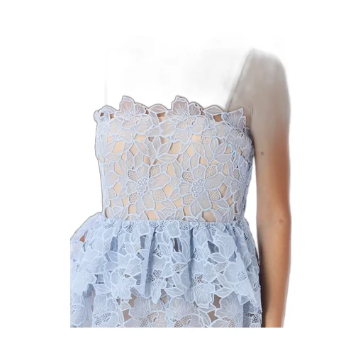 Self-Portrait Organza Lace Mini Dress