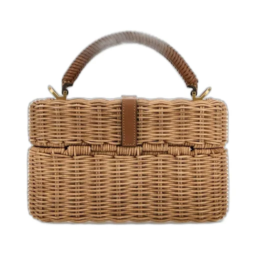 Saint Laurent Gaby Vanity Bag