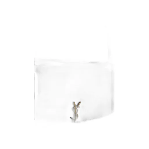 Saint Laurent Voltaire Logo Plaque Mini Shoulder Bag