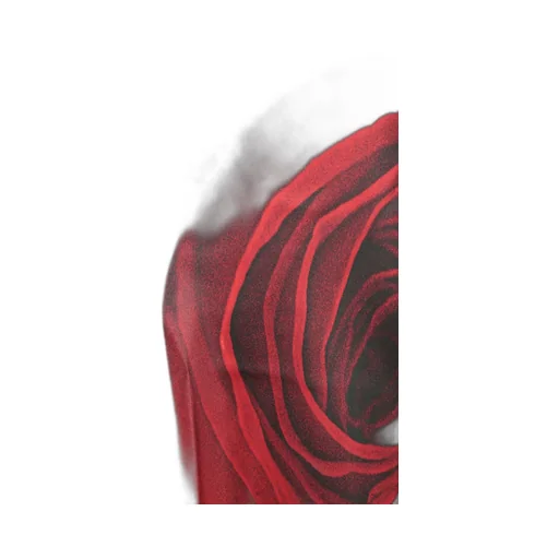 Roberto Cavalli Garden Rose-Printed Halterneck Maxi Dress