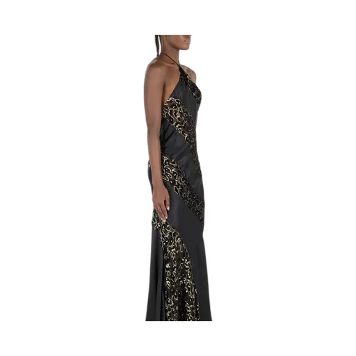 Roberto Cavalli See-Through Leopard Dress