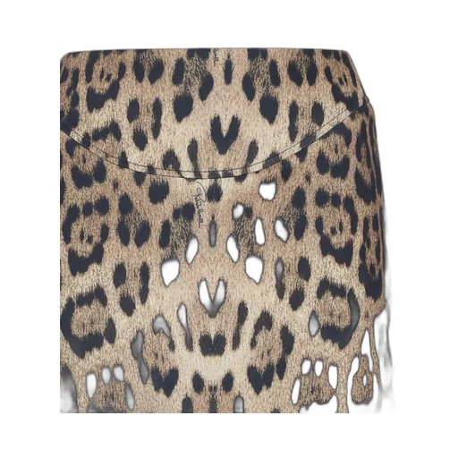 Roberto Cavalli Animal Print Midi Skirt