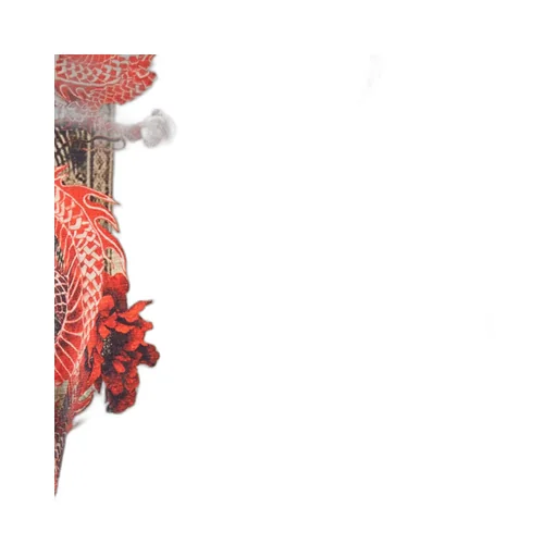 Roberto Cavalli Oriental Print T-Shirt