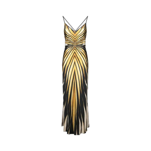 Roberto Cavalli Ray Of Gold Printed Satin Maxi Dress