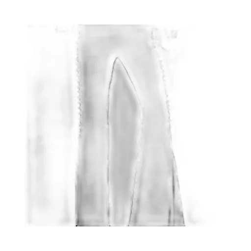Roberto Cavalli Flared Trousers