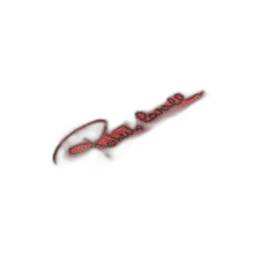 Roberto Cavalli Rose-Print Shirt-Style Jumpsuit