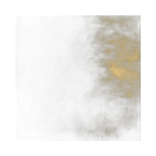 Roberto Cavalli Python Pattern Double-Breasted Jacket