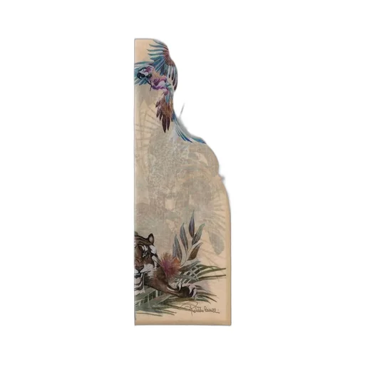 Roberto Cavalli Graphic Printed Fringed Scarf