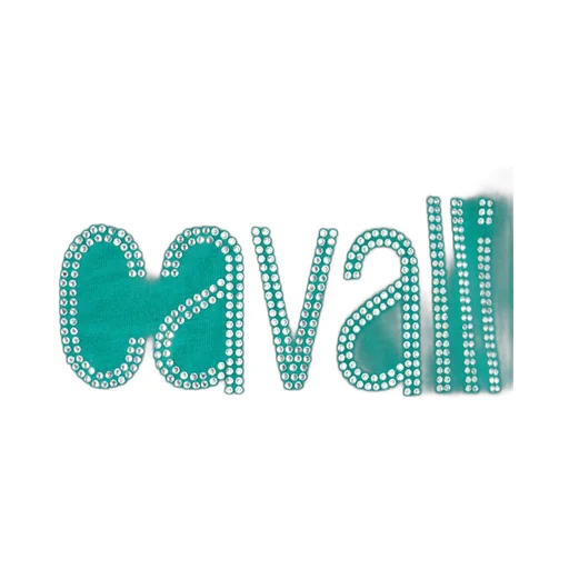 Roberto Cavalli Stud Rc Monogram And Logo T-Shirt