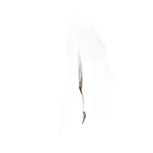 Roberto Cavalli V-Neck Front-Slit Midi Dress