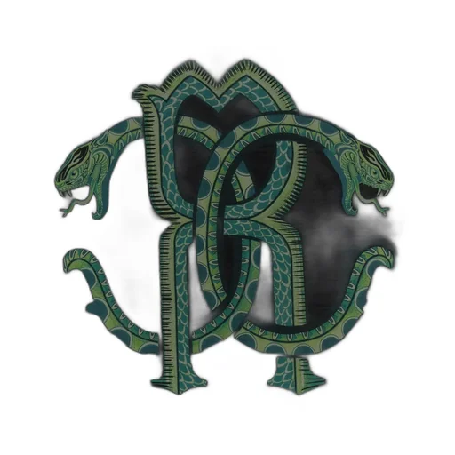 Roberto Cavalli Logo Printed Rectangular Scarf
