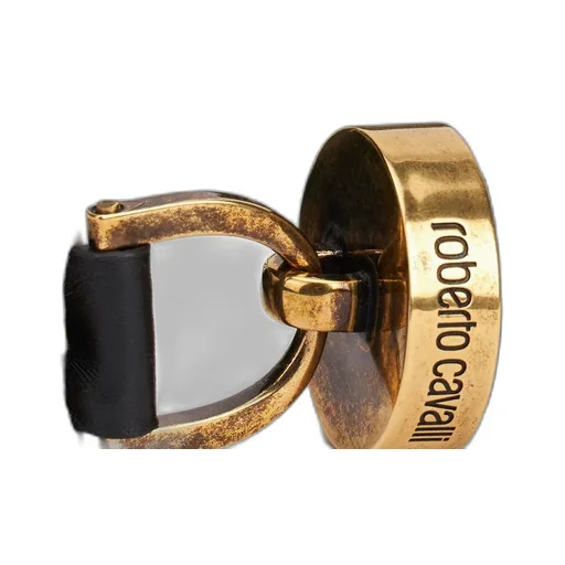 Roberto Cavalli Ray Of Gold Printed Shoulder Bag