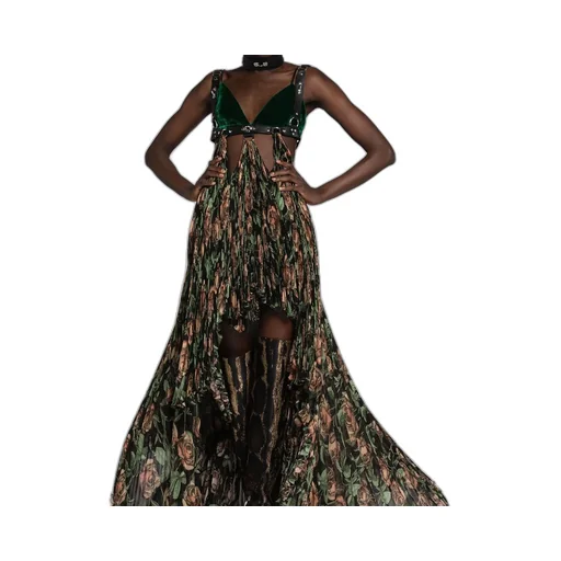 Roberto Cavalli Patterned Pleated Gown
